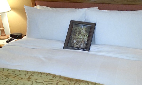 Bacon Hotel - Hotel Fulfills Guest's Ridiculous Request Involving Bacon - Gadling - Jul 16, 2013 ... A man staying with his girlfriend at the Woodlands Resort in Houston may have   forgotten about the silly request he made when booking, but theÂ ...